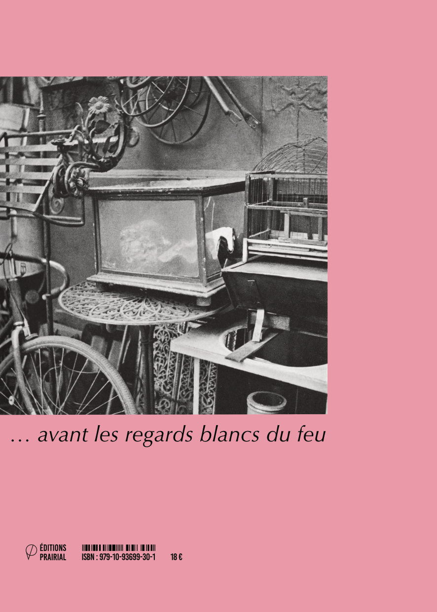 Cette fois-ci la forêt était vierge, de Colette Thomas